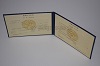 Стоимость диплома техникума УзбекАССР 1975-1991 г. в Райчихинске (Амурская Область)