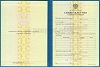 Стоимость Свидетельства о Повышении Квалификации 1997-2018 г. в Райчихинске (Амурская Область)