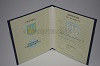 Стоимость Диплома о Высшем Образовании Украины 1994-1999 г.в. в Райчихинске (Амурская Область)