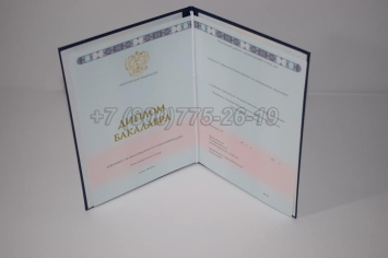 Диплом Бакалавра 2023г ГОЗНАК в Благовещенске