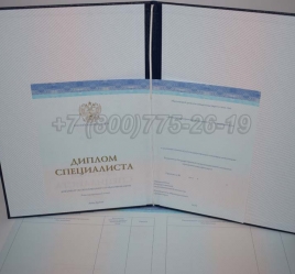 Диплом о Высшем Образовании 2022г СпецБланк в Благовещенске