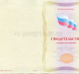 Свидетельство о Профессии Рабочего "Автоклавщик литья под давлением" в Благовещенске