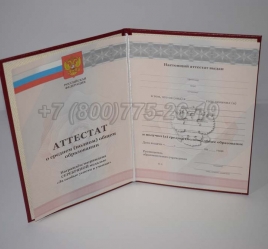 Аттестат За 11 Класс 2011г Серебро в Благовещенске