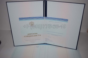 Диплом о Высшем Образовании 2015г СпецБланк в Благовещенске