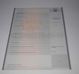 Академическая Справка Техникума 2020г в Благовещенске